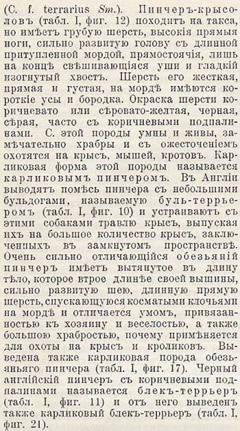 Оригинальный текст из Большой Энциклопедии под редакцией С.Н. Южакова